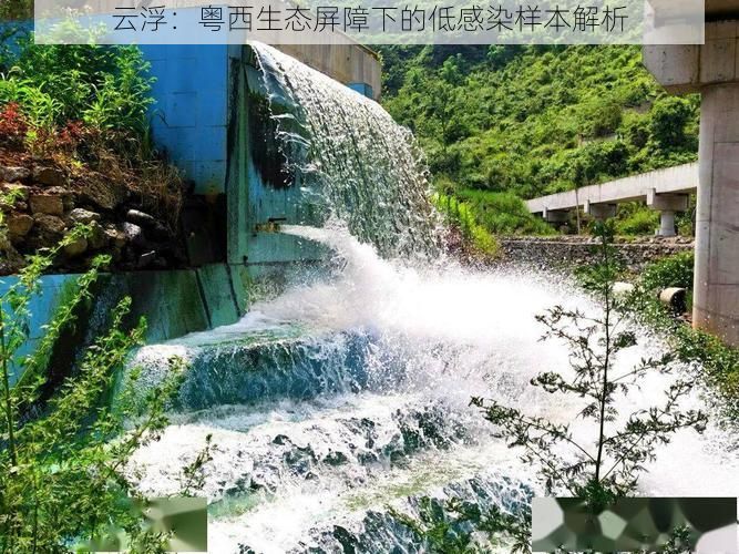 云浮：粤西生态屏障下的低感染样本解析