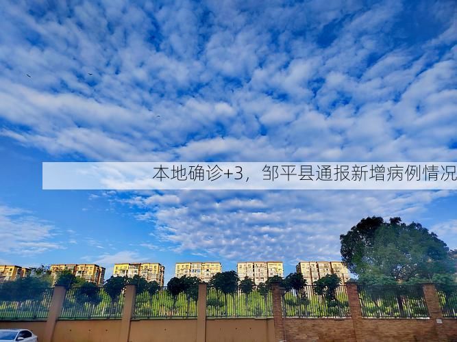 本地确诊+3,邹平县通报新增病例情况