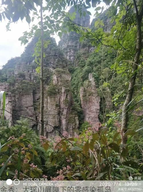 金秀：大瑶山屏障下的零感染孤岛