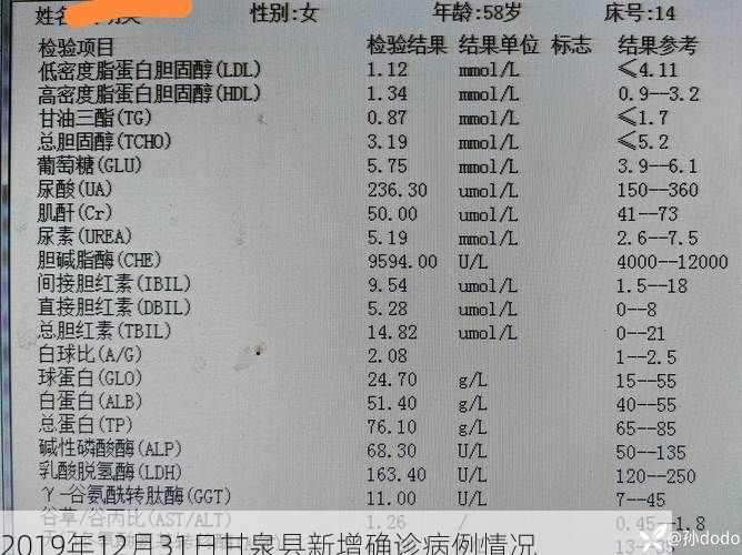 2019年12月31日甘泉县新增确诊病例情况