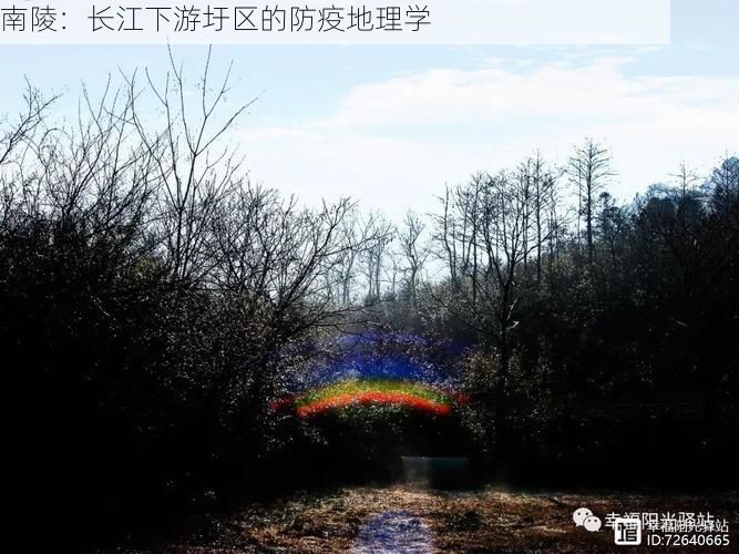 南陵:长江下游圩区的防疫地理学