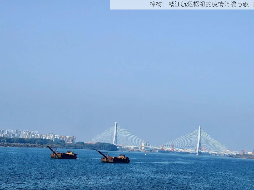 樟树：赣江航运枢纽的疫情防线与破口