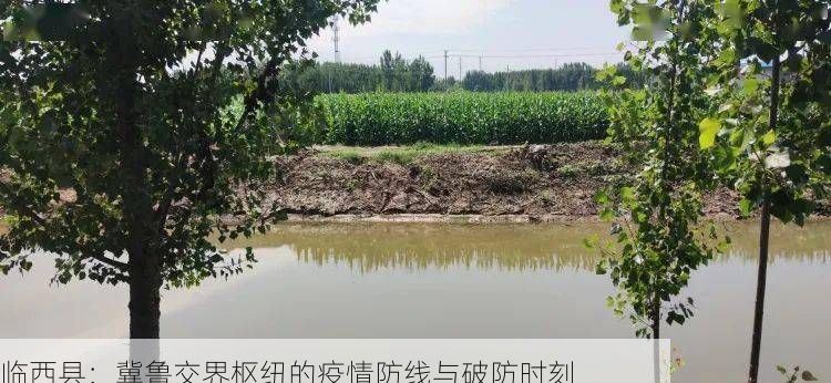 临西县:冀鲁交界枢纽的疫情防线与破防时刻