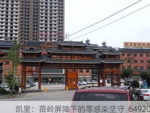 凯里：苗岭屏障下的零感染坚守_64920