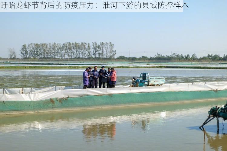 盱眙龙虾节背后的防疫压力：淮河下游的县域防控样本