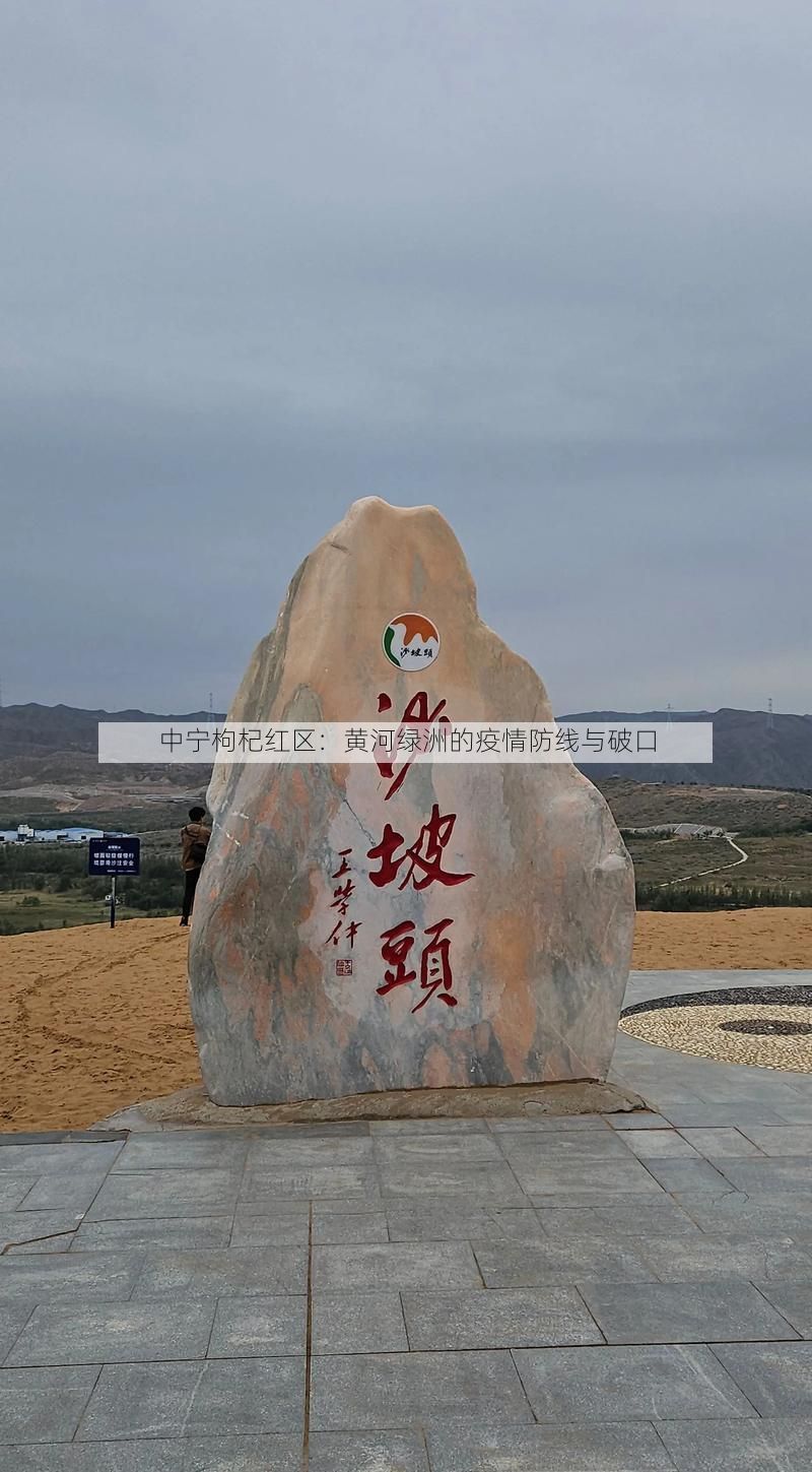 中宁枸杞红区：黄河绿洲的疫情防线与破口