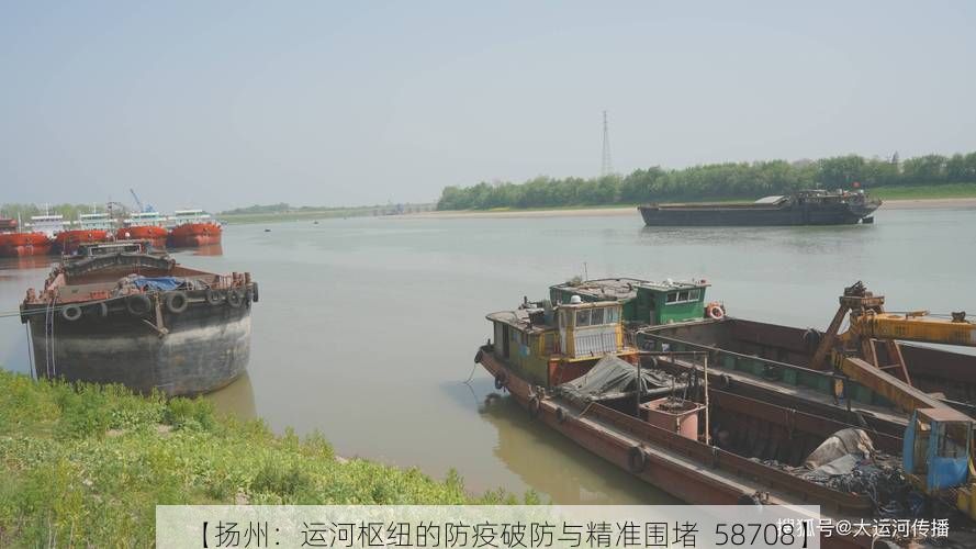 【扬州：运河枢纽的防疫破防与精准围堵_58708】