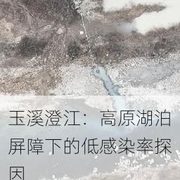 玉溪澄江：高原湖泊屏障下的低感染率探因