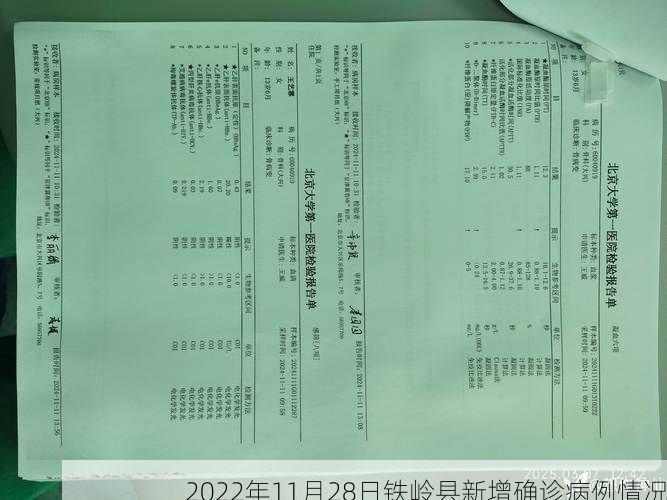 2022年11月28日铁岭县新增确诊病例情况