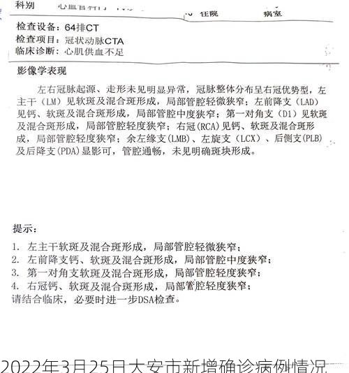 2022年3月25日大安市新增确诊病例情况