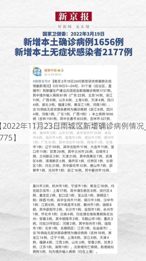 【2022年11月23日雨城区新增确诊病例情况_63775】