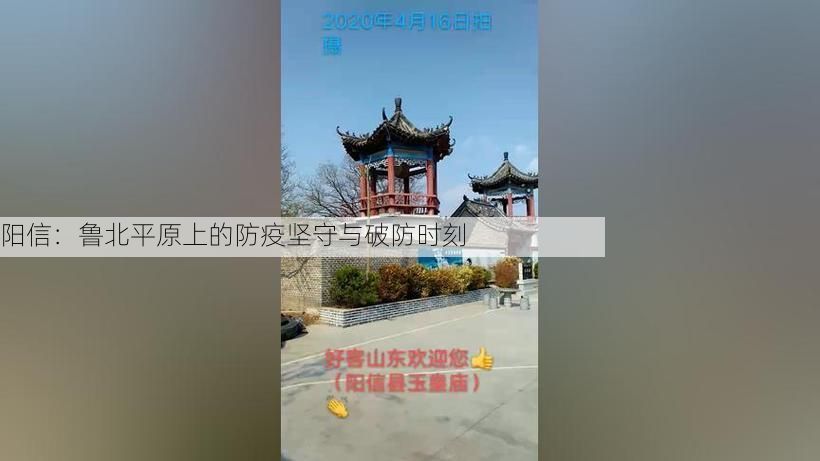 阳信：鲁北平原上的防疫坚守与破防时刻