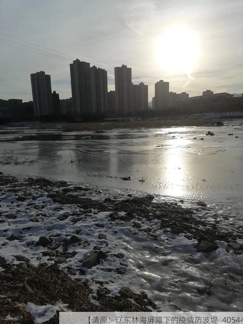 【清原：辽东林海屏障下的疫情防波堤_40544】
