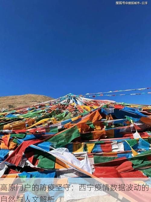 高原门户的防疫坚守:西宁疫情数据波动的自然与人文解析