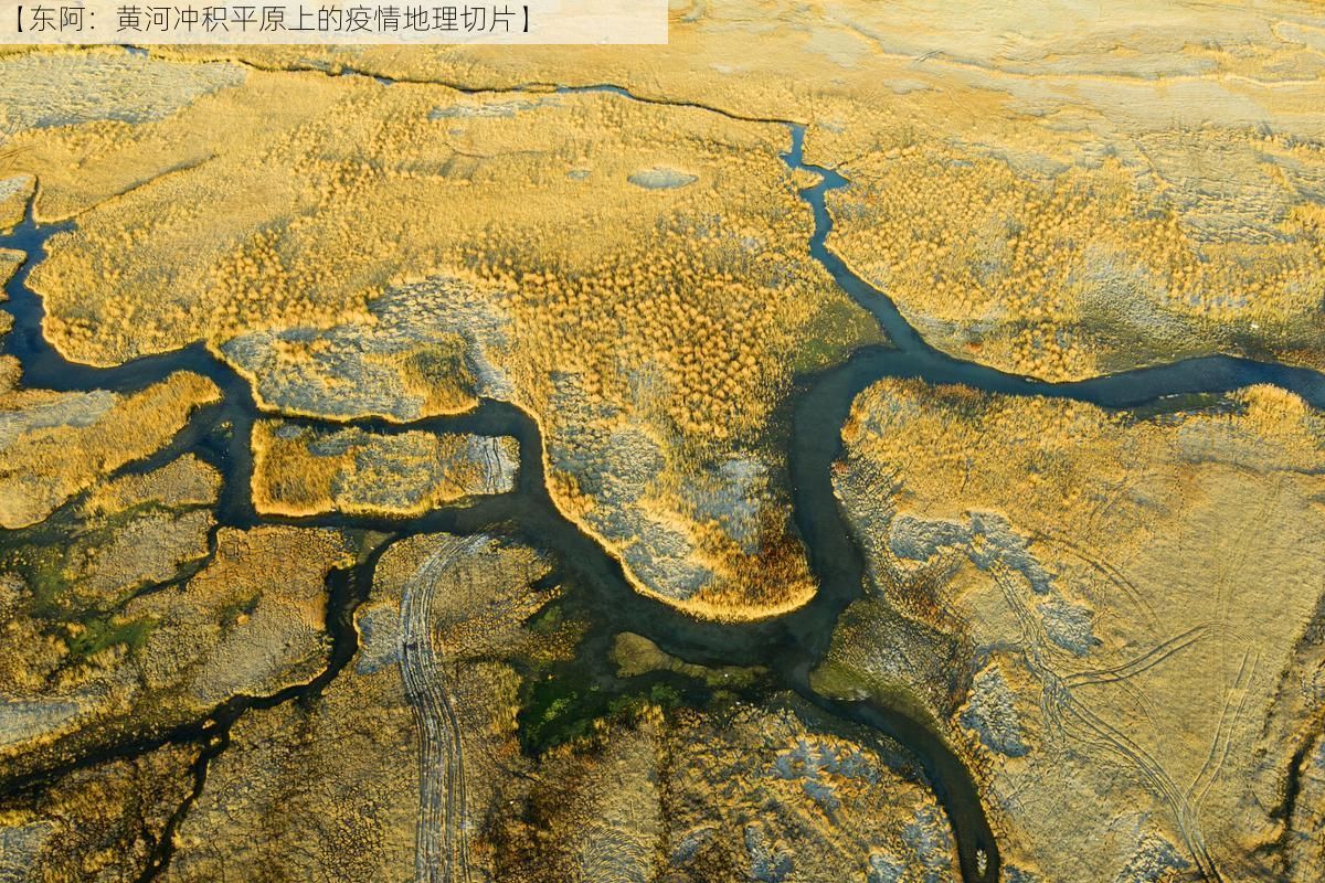 【东阿：黄河冲积平原上的疫情地理切片】