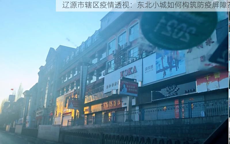 辽源市辖区疫情透视:东北小城如何构筑防疫屏障?