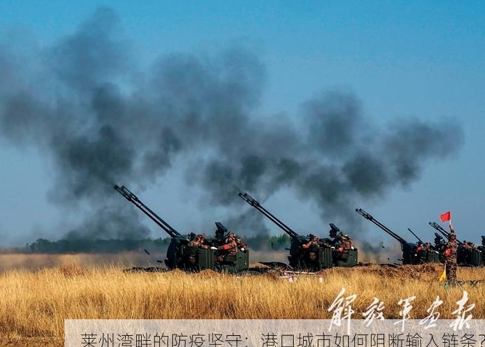 莱州湾畔的防疫坚守:港口城市如何阻断输入链条?