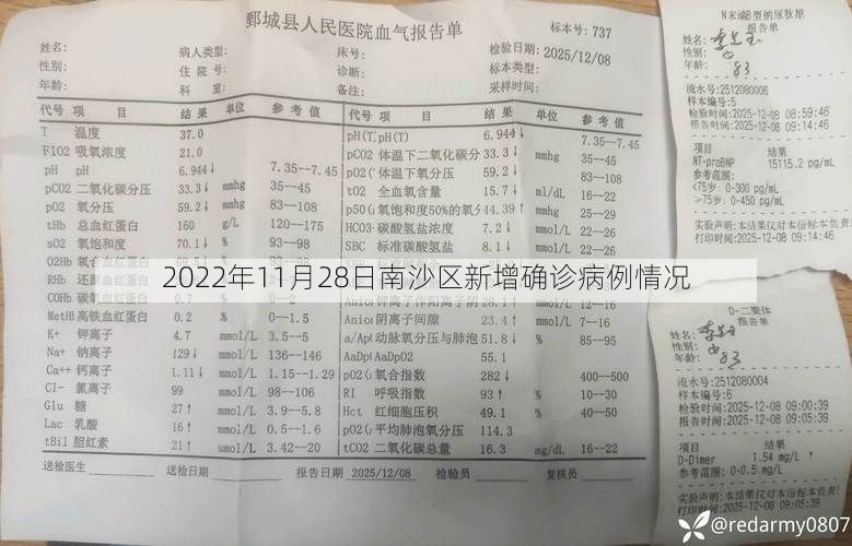2022年11月28日南沙区新增确诊病例情况