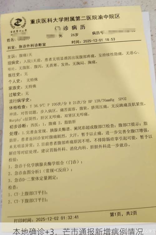 本地确诊+3,芒市通报新增病例情况