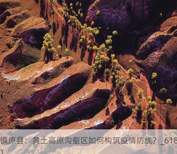 镇原县:黄土高原沟壑区如何构筑疫情防线?_6181