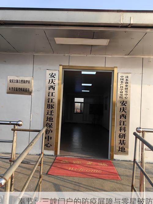 奉节:三峡门户的防疫屏障与零星破防