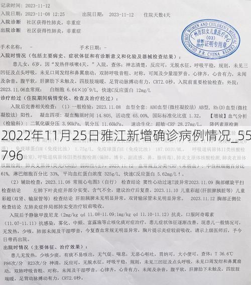 2022年11月25日雅江新增确诊病例情况_55796