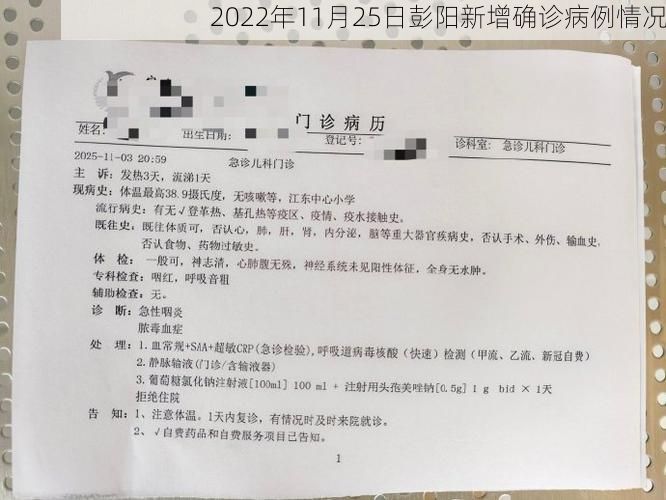2022年11月25日彭阳新增确诊病例情况