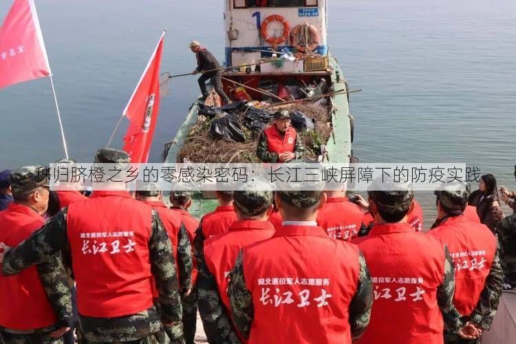 秭归脐橙之乡的零感染密码:长江三峡屏障下的防疫实践