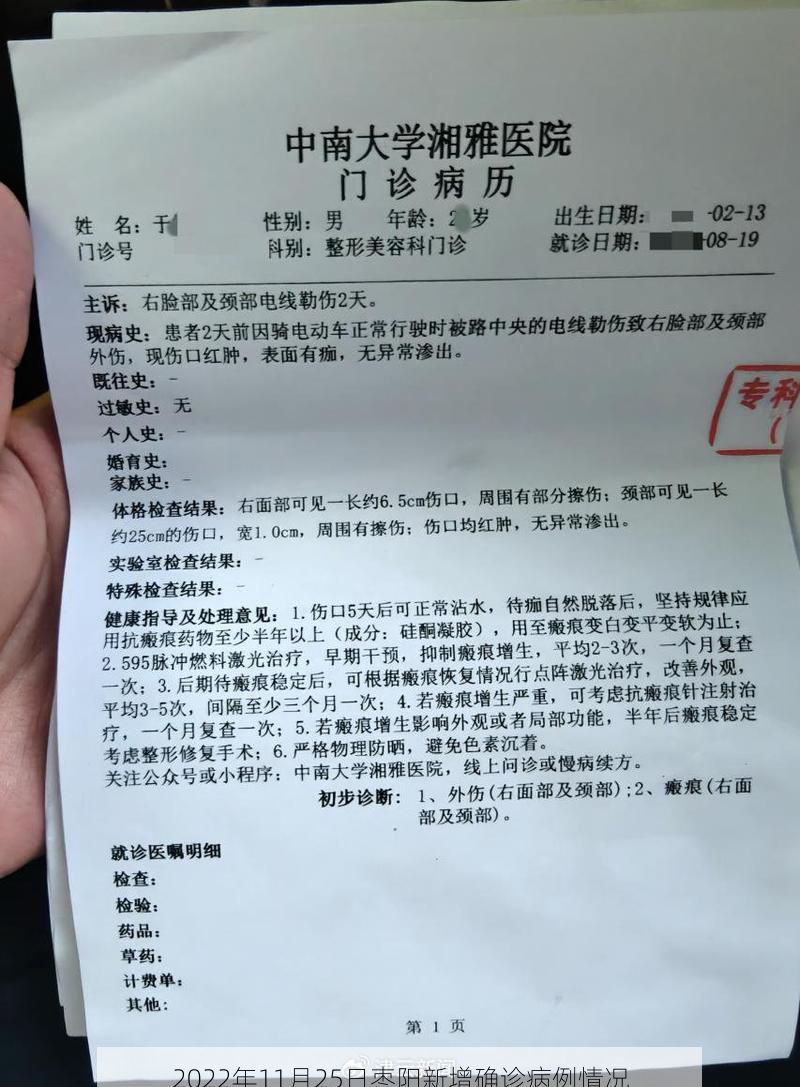 2022年11月25日枣阳新增确诊病例情况