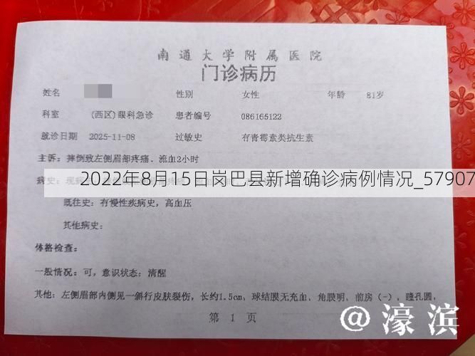 2022年8月15日岗巴县新增确诊病例情况_57907