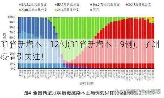 31省新增本土12例(31省新增本土9例)，子洲疫情引关注！