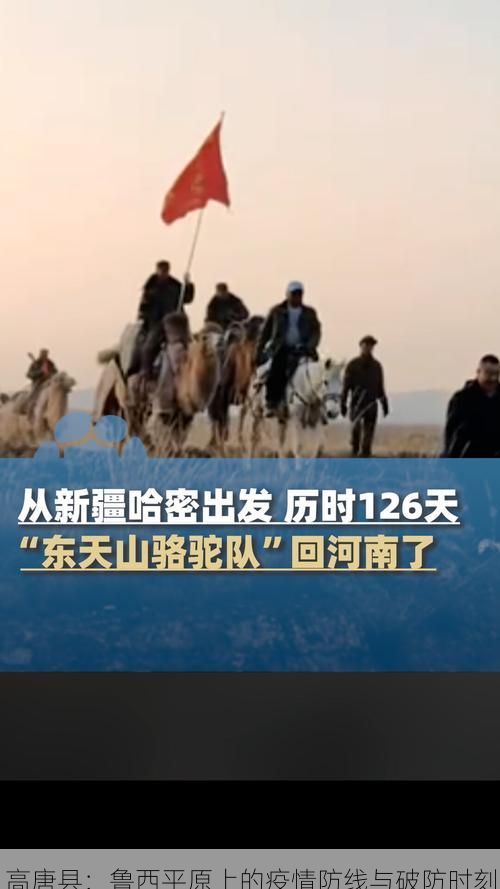 高唐县：鲁西平原上的疫情防线与破防时刻