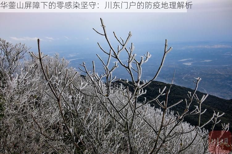 华蓥山屏障下的零感染坚守：川东门户的防疫地理解析