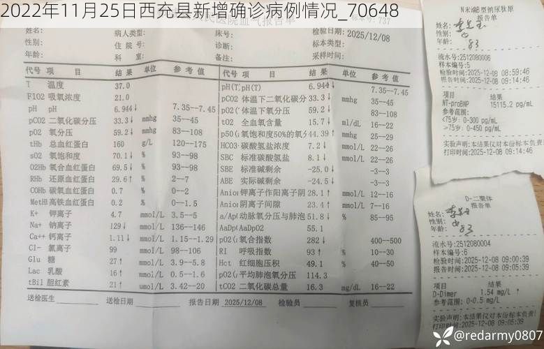 2022年11月25日西充县新增确诊病例情况_70648