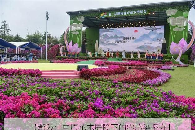 【鄢陵：中原花木屏障下的零感染坚守】