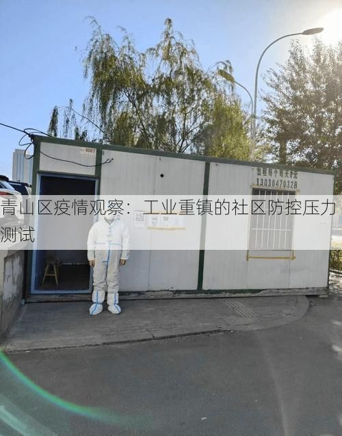 青山区疫情观察：工业重镇的社区防控压力测试