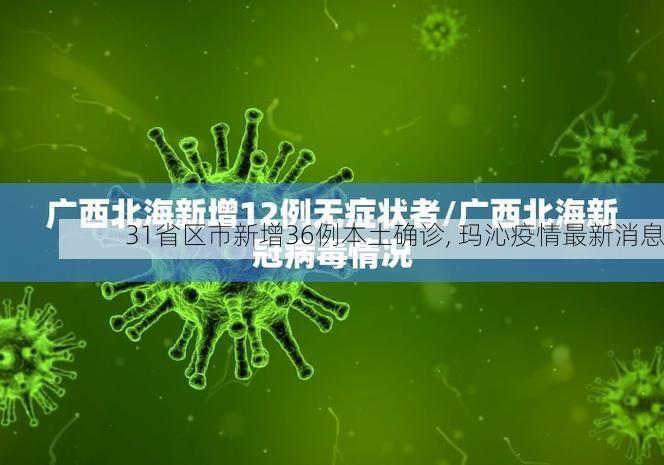 31省区市新增36例本土确诊, 玛沁疫情最新消息