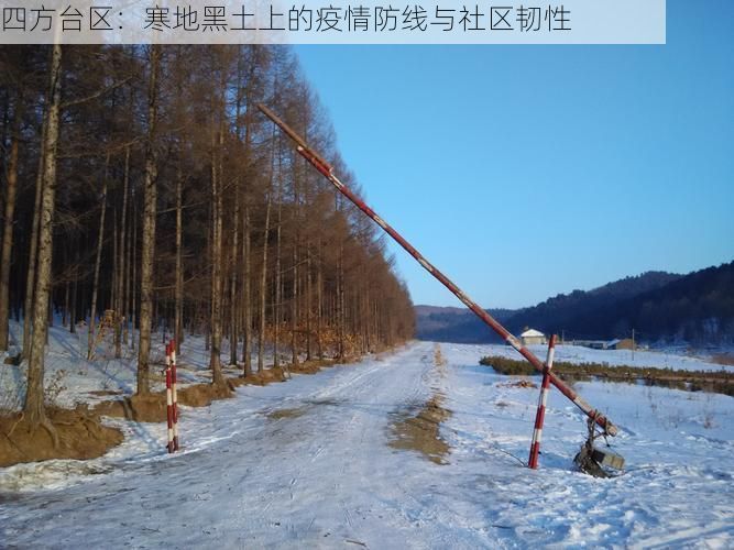 四方台区：寒地黑土上的疫情防线与社区韧性