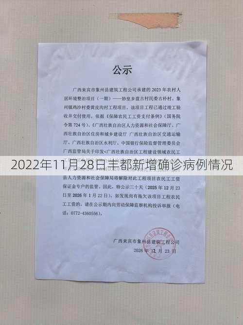 2022年11月28日丰都新增确诊病例情况