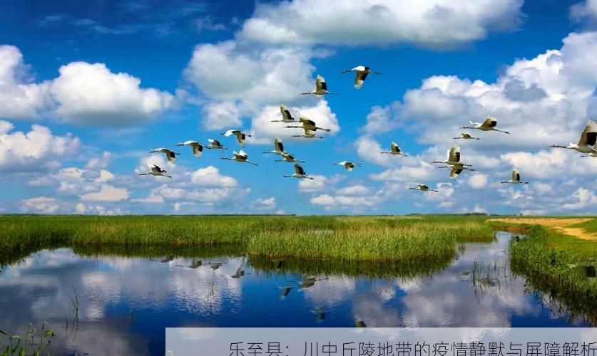 乐至县：川中丘陵地带的疫情静默与屏障解析