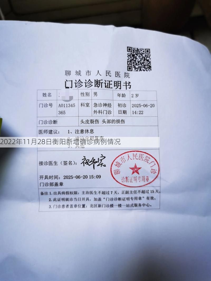 2022年11月28日衡阳新增确诊病例情况