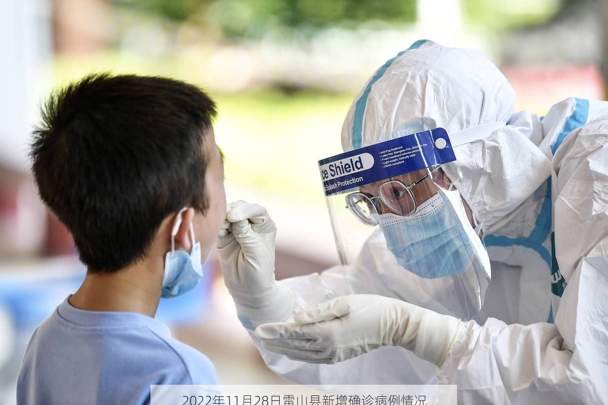 2022年11月28日雷山县新增确诊病例情况