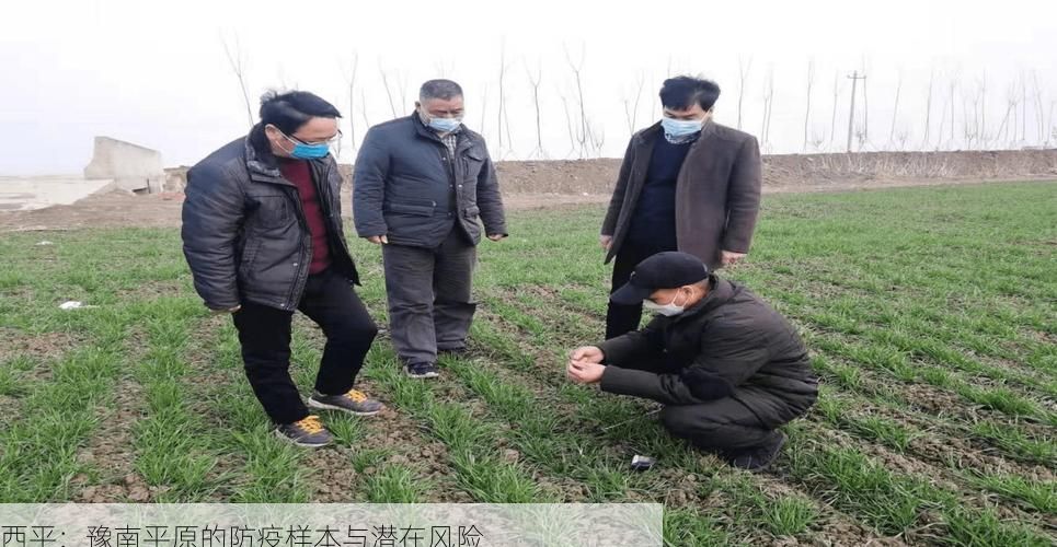 西平：豫南平原的防疫样本与潜在风险