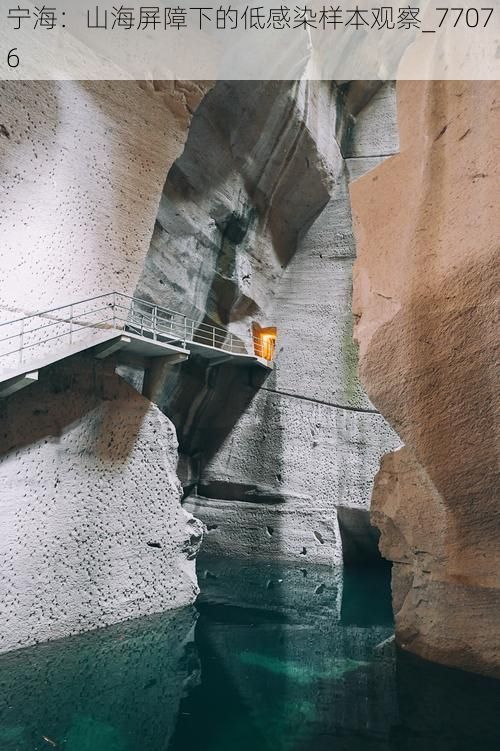 宁海：山海屏障下的低感染样本观察_77076