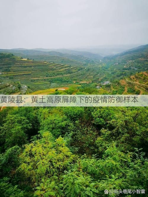 黄陵县：黄土高原屏障下的疫情防御样本