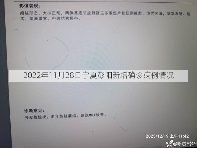 2022年11月28日宁夏彭阳新增确诊病例情况