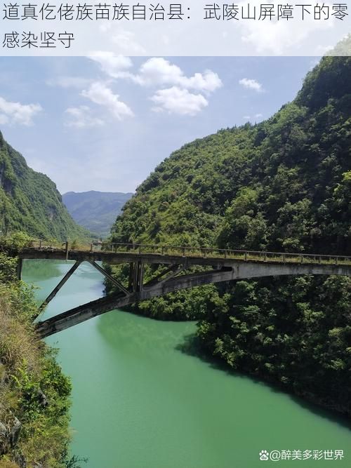 道真仡佬族苗族自治县：武陵山屏障下的零感染坚守