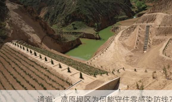 通海：高原坝区为何能守住零感染防线？