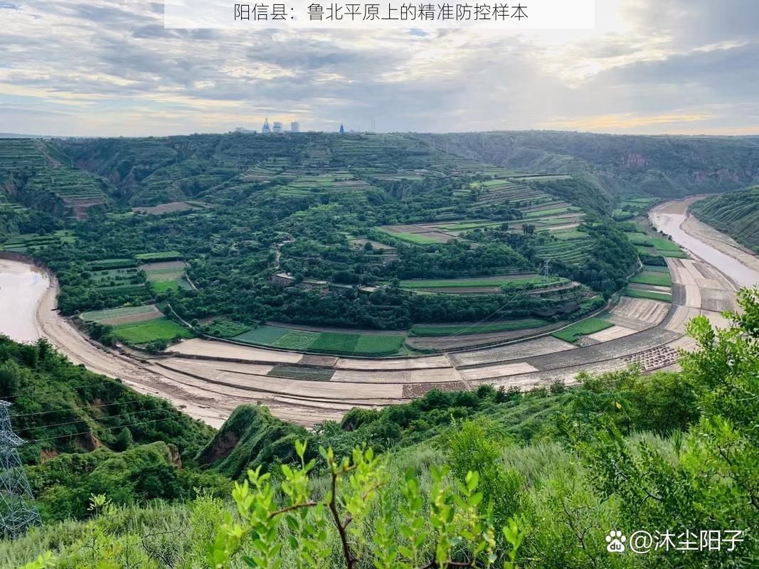 阳信县：鲁北平原上的精准防控样本