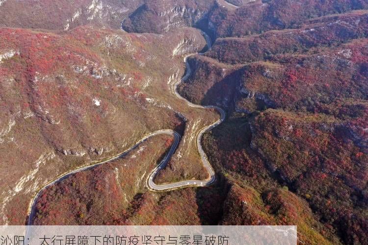 沁阳：太行屏障下的防疫坚守与零星破防